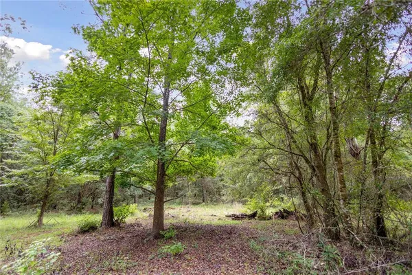 $574,999 | 8530 Northeast 160th Avenue, Williston, FL 32696