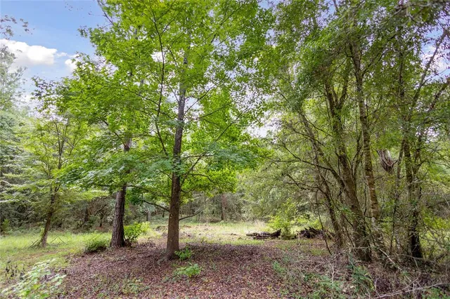 $585,000 | 8530 Northeast 160th Avenue, Williston, FL 32696