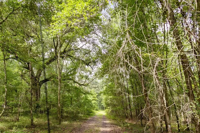 $585,000 | 8530 Northeast 160th Avenue, Williston, FL 32696