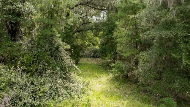 $585,000 | 8530 Northeast 160th Avenue, Williston, FL 32696