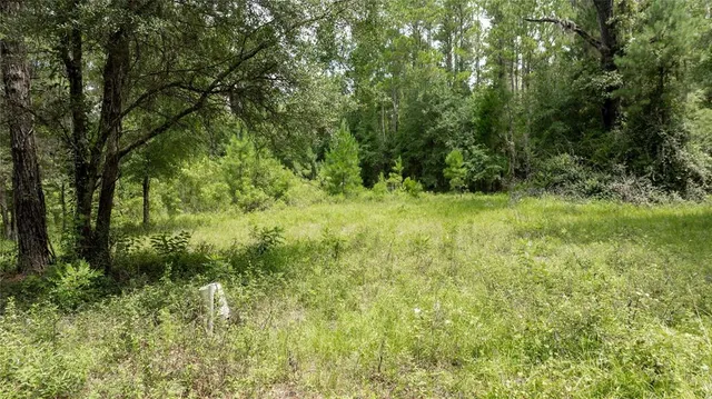 $585,000 | 8530 Northeast 160th Avenue, Williston, FL 32696