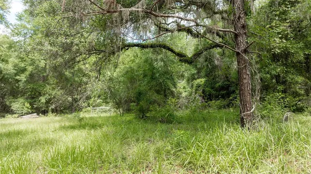 $585,000 | 8530 Northeast 160th Avenue, Williston, FL 32696