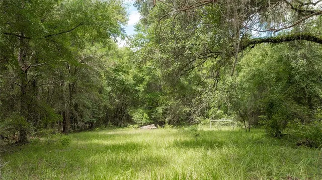 $585,000 | 8530 Northeast 160th Avenue, Williston, FL 32696