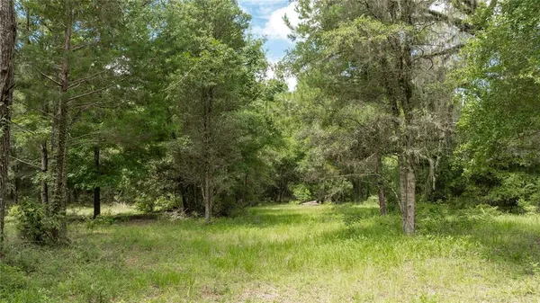 $574,999 | 8530 Northeast 160th Avenue, Williston, FL 32696