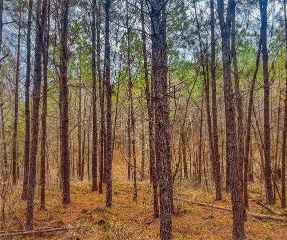 a view of wooden fence