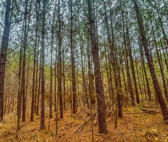 a view of small yard with wooden fence