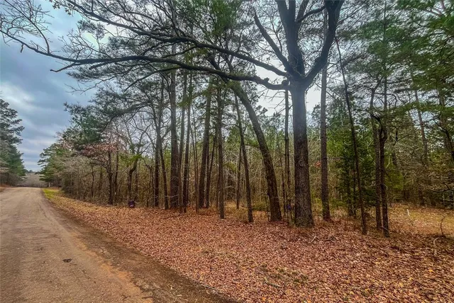 a view of tree in front of a house