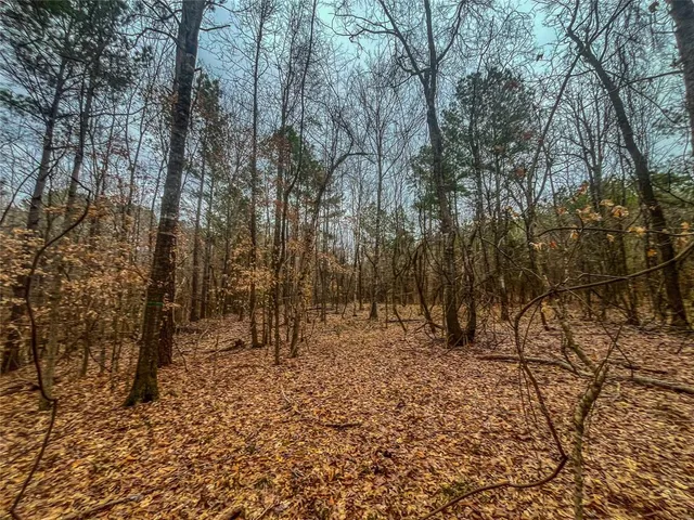 a view of a yard with large trees
