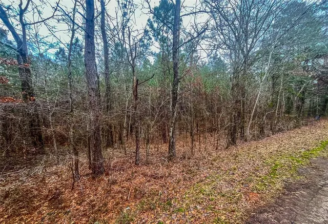 a view of a yard with swimming pool
