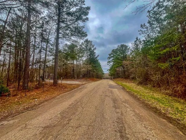 a view of a yard with potted plants