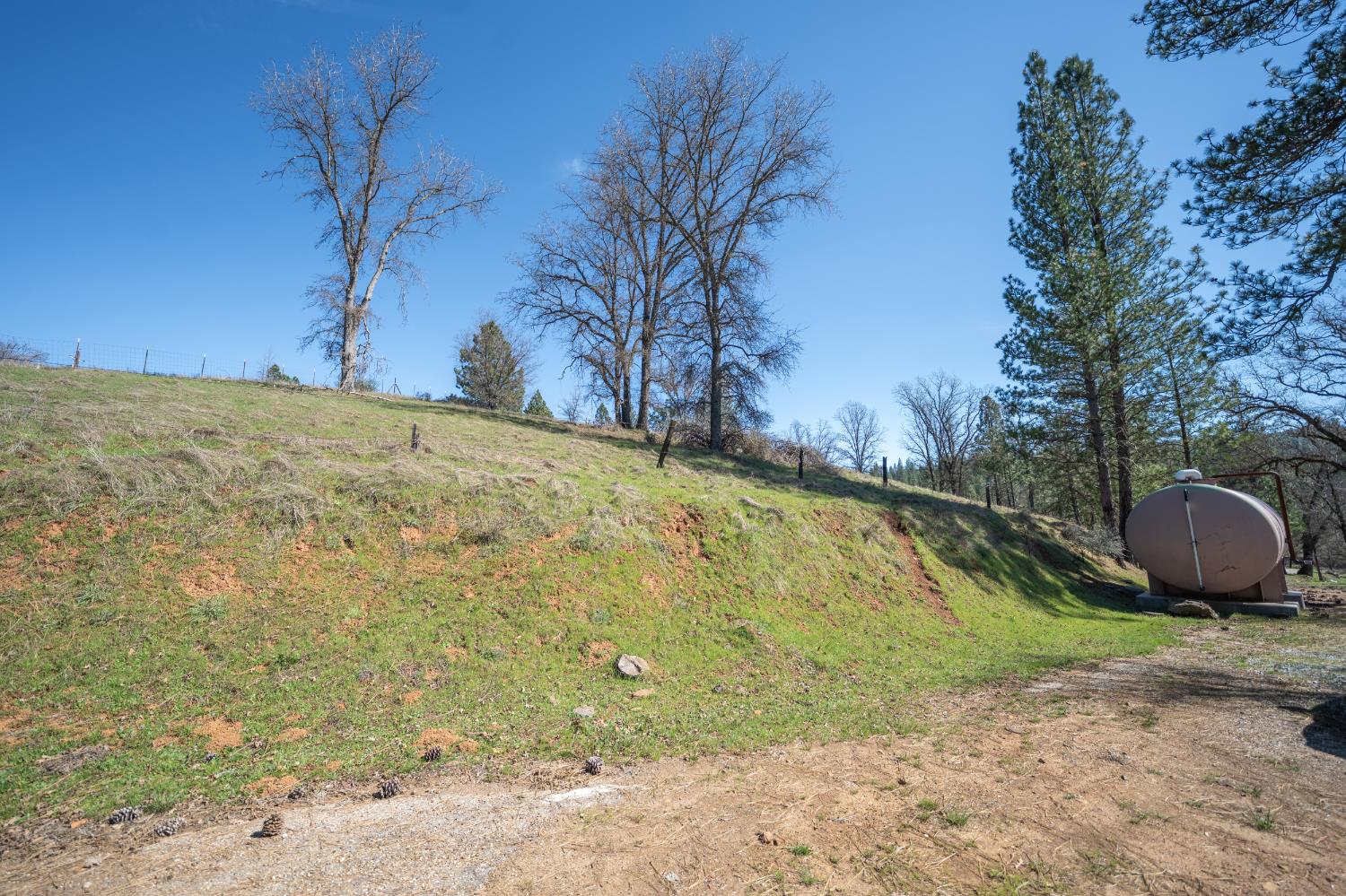 5252 Railroad Flat Road Mountain Ranch, CA 95246 - Photo 6 of 10 Gallery Image 6