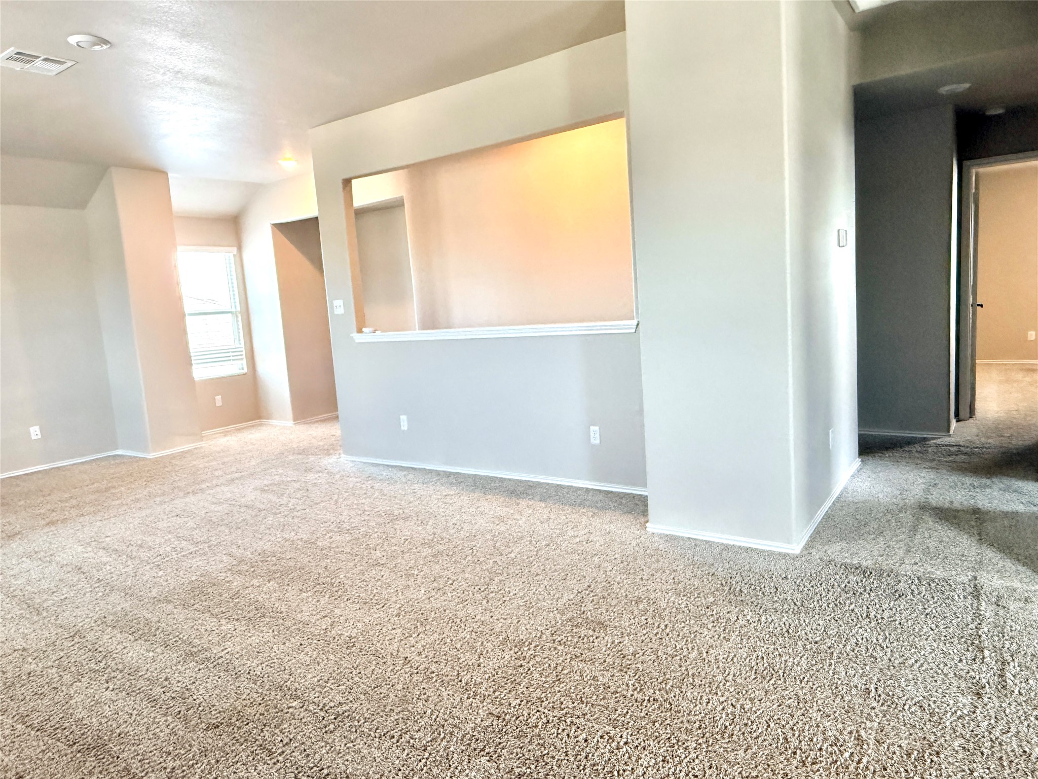 129 Perfect World Loop Jarrell, TX 76537 - Photo 23 of 31 Well-lit living area with plush carpeting and architectural details.