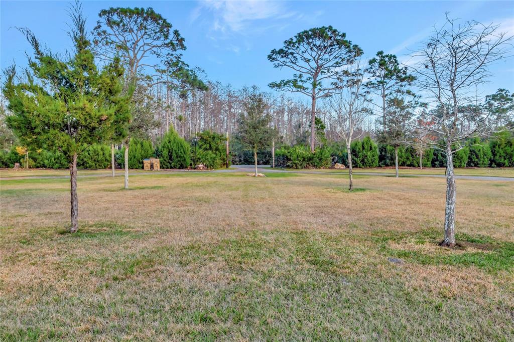 7330 Crabgrass Road St. Cloud, FL 34773 - Photo 57 of 60 a backyard of a house with lots of green space