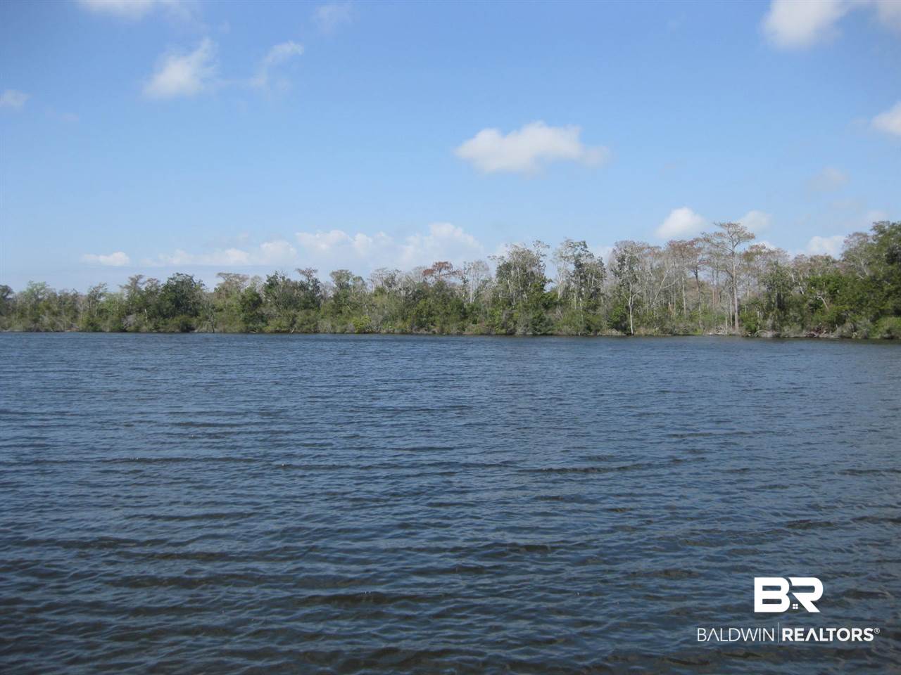 14131 County Road 9 Foley, AL 36535 - Photo 1 of 6