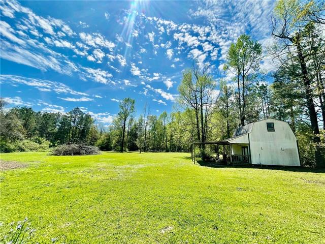 13008 Willie Road Folsom, LA 70437 - Photo 4 of 24