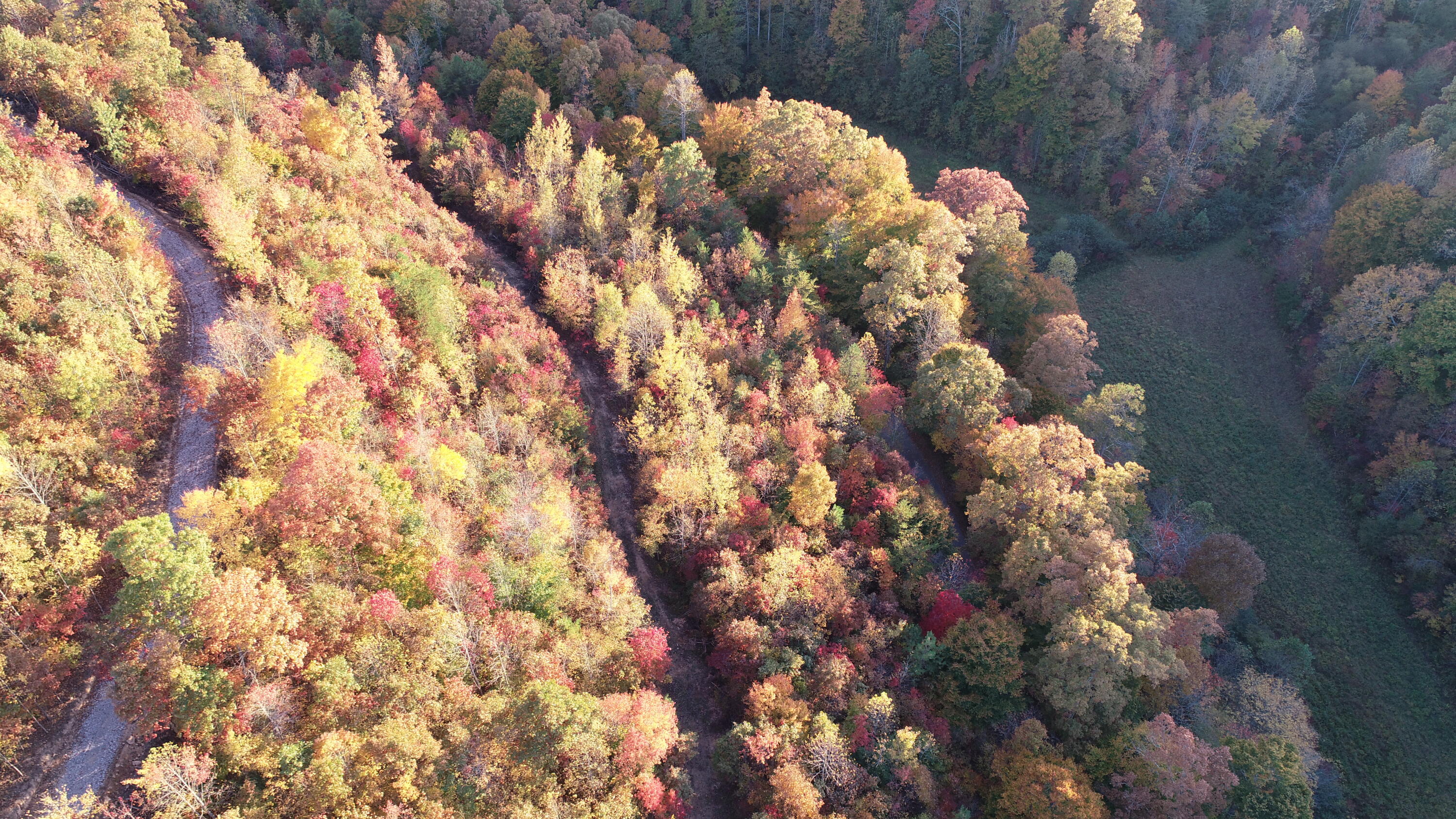 1111 Nineva Road London, KY 40741 - Photo 25 of 35 DJI_0510