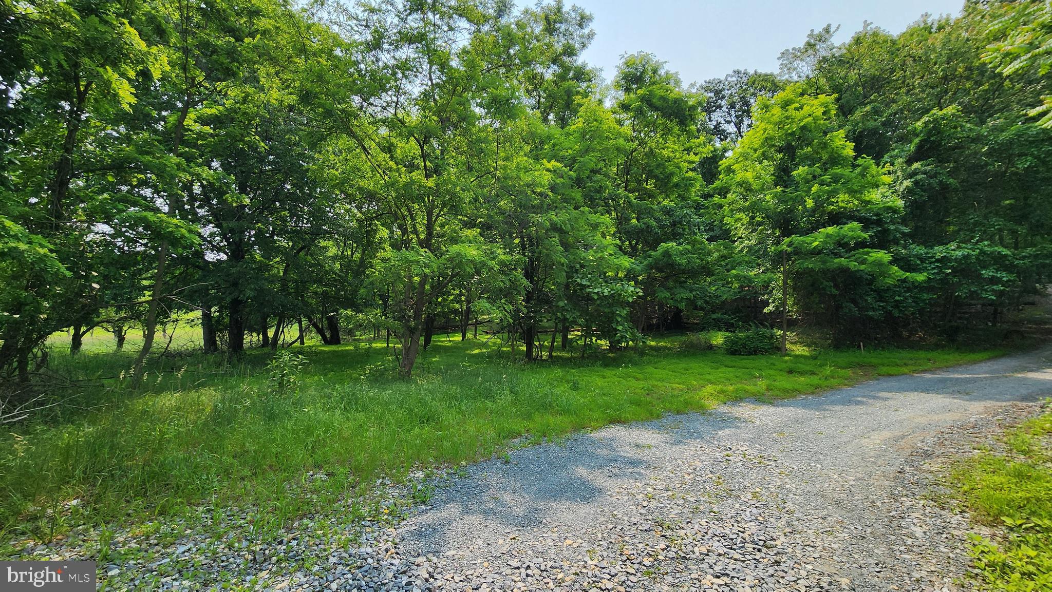 a view of a park with trees in front of it