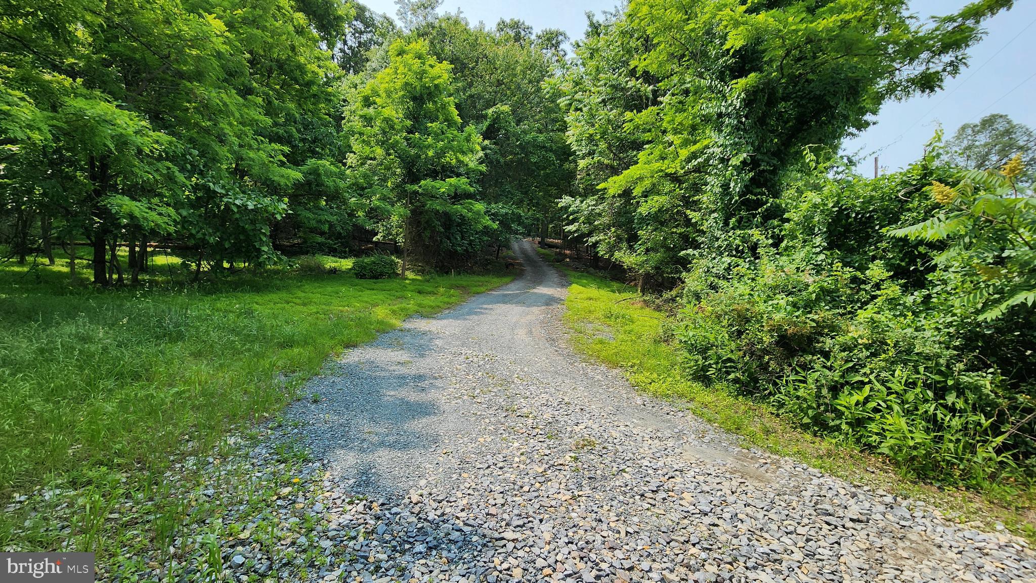 14547 Edgemont Road Smithsburg, MD 21783 - Photo 3 of 6 a view of a yard with plants and large trees
