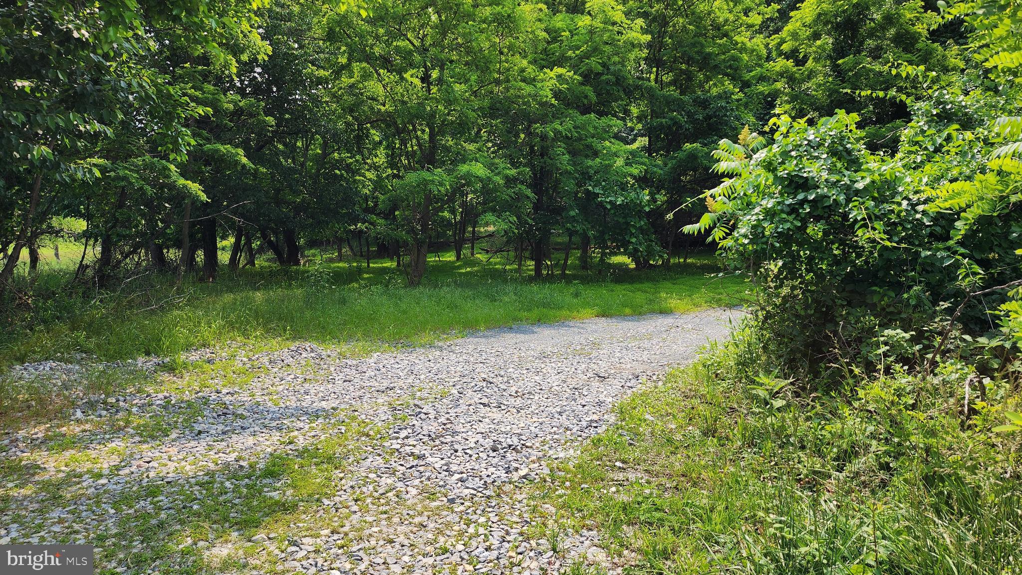 14547 Edgemont Road Smithsburg, MD 21783 - Photo 4 of 6 a view of a park with large trees