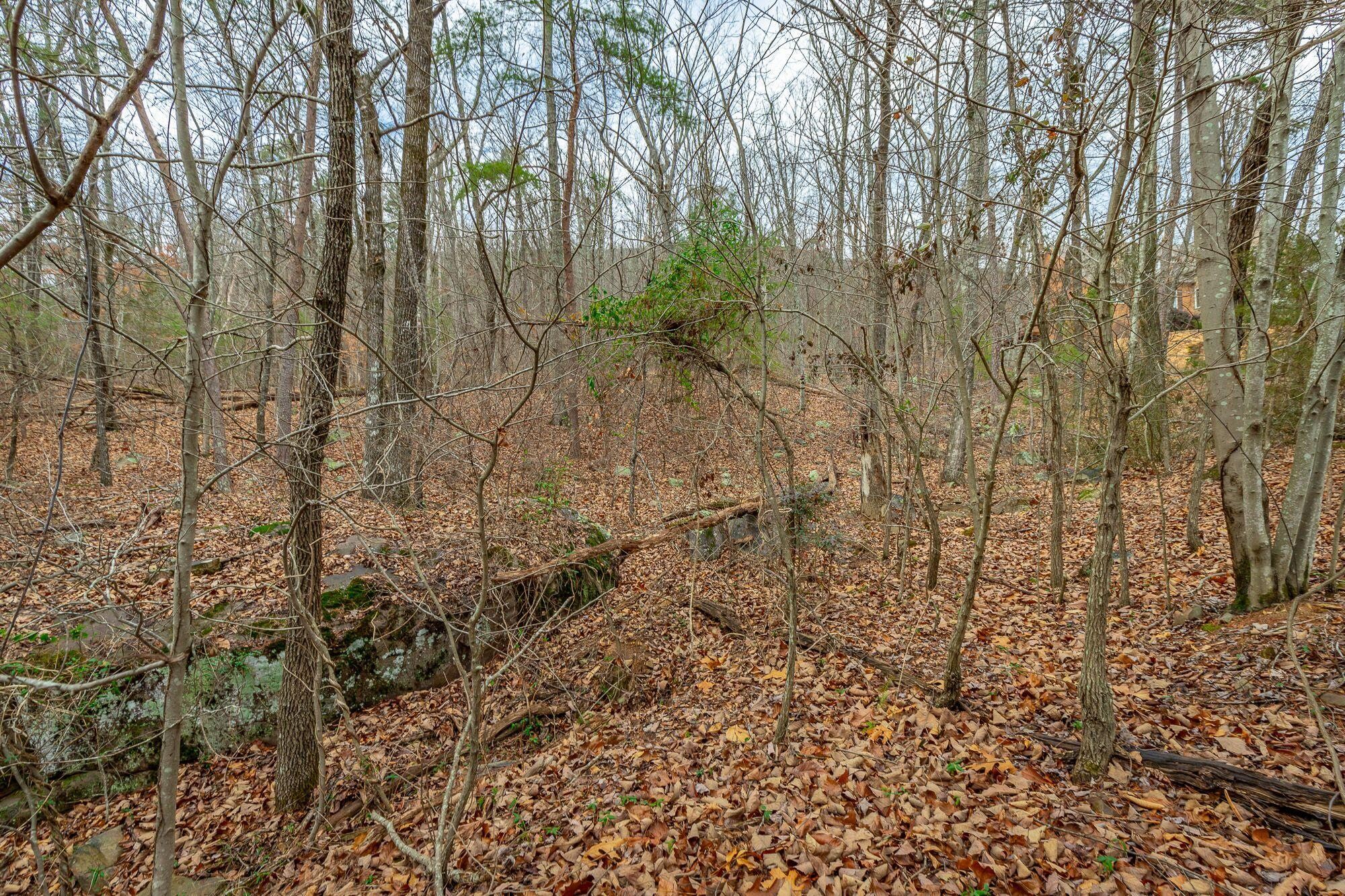 7783 Rocky Ledge Road Hixson, TN 37343 - Photo 4 of 20 Gallery Image 4