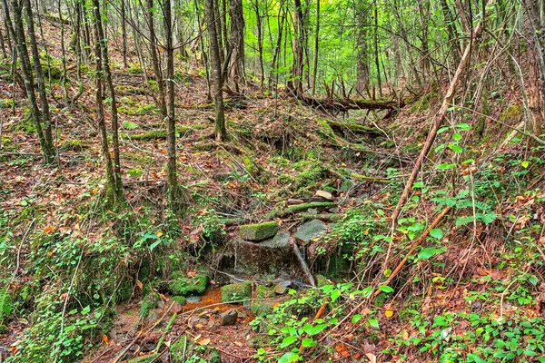 $449,900 | 0 Hayden Lane, Murphy, NC 28906