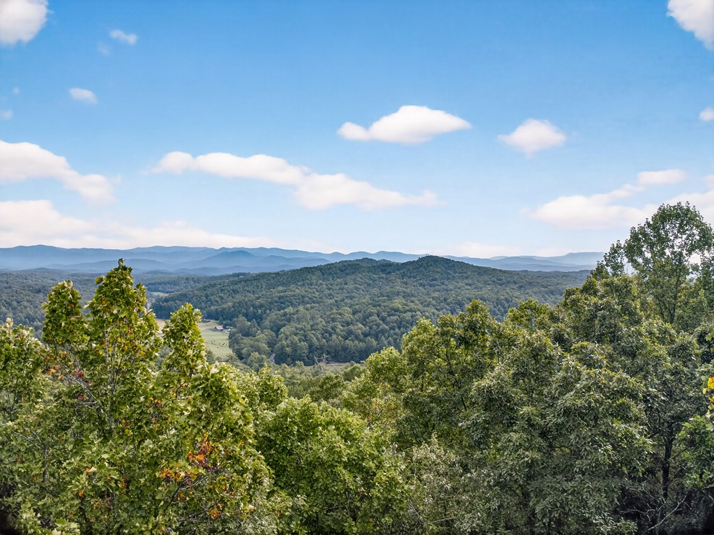 0 Hayden Lane Murphy, NC 28906 - Photo 17 of 30 a view of a city