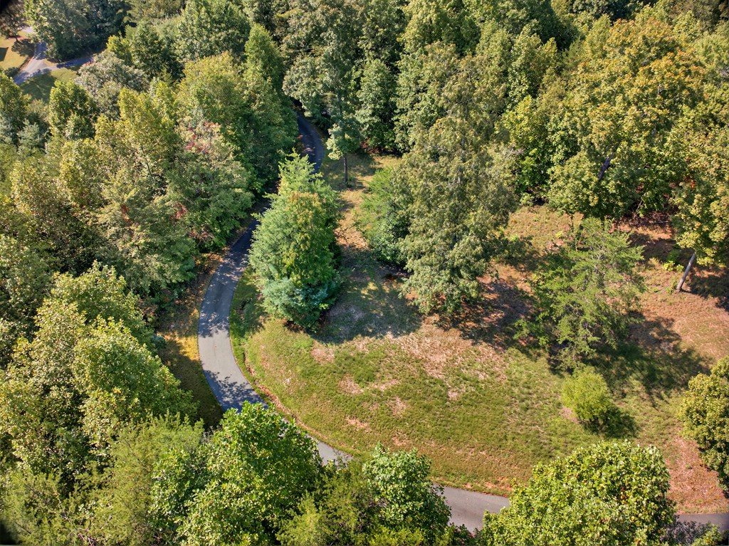 0 Hayden Lane Murphy, NC 28906 - Photo 2 of 30 a view of a yard