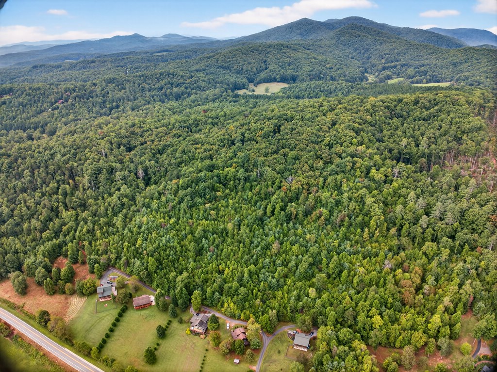 0 Hayden Lane Murphy, NC 28906 - Photo 21 of 30 a view of a forest with a sink and a yard