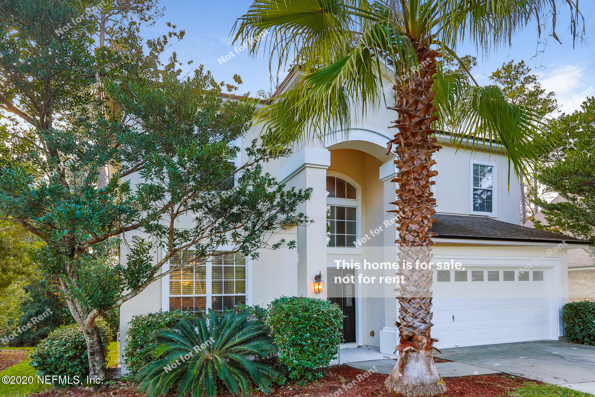 2485 Tall Cedars Road Orange Park, FL 32003 - Photo 7 of 25 listing_6