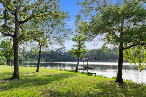 a swimming pool with lots of tress in the background
