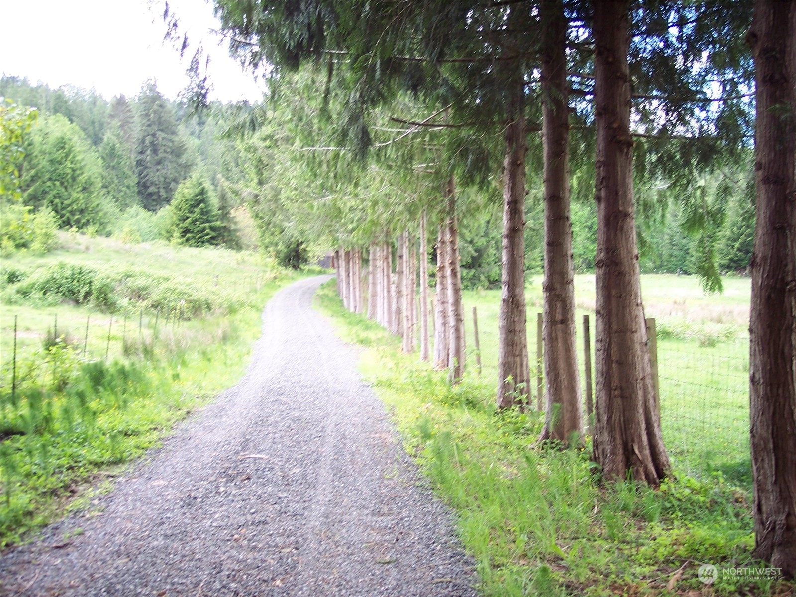 20220 Ricci Road Monroe, WA 98272 - Photo 3 of 40