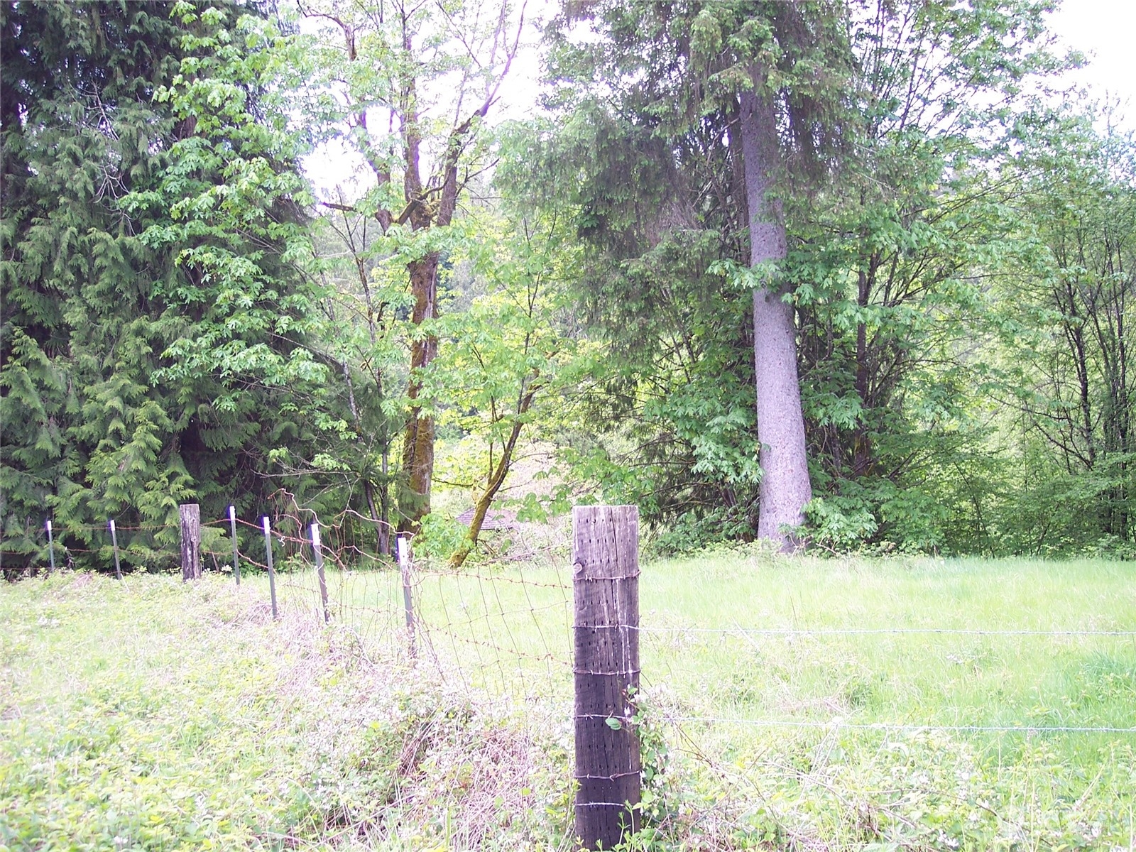 20220 Ricci Road Monroe, WA 98272 - Photo 32 of 40