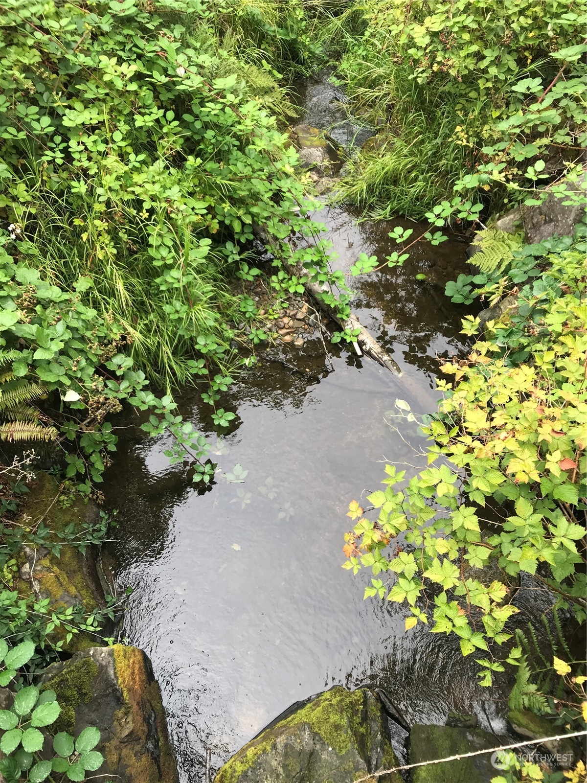 20220 Ricci Road Monroe, WA 98272 - Photo 39 of 40