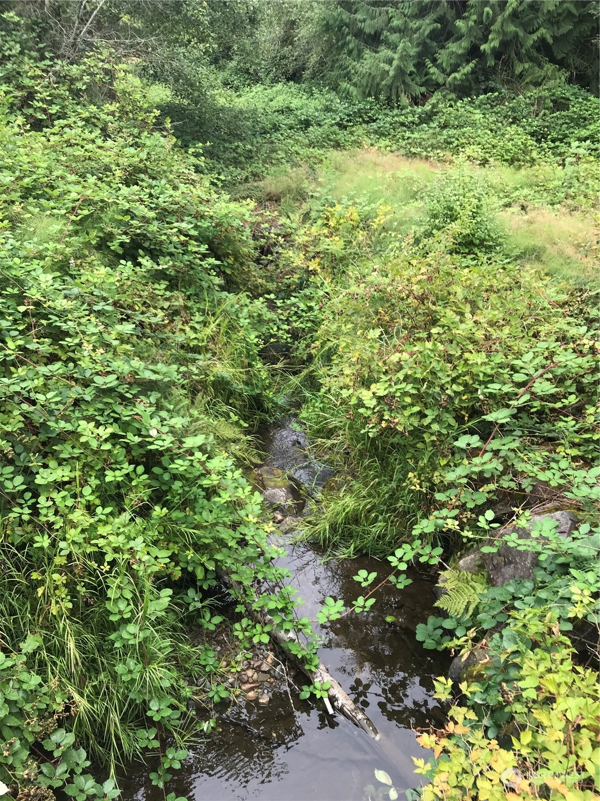 20220 Ricci Road Monroe, WA 98272 - Photo 40 of 40