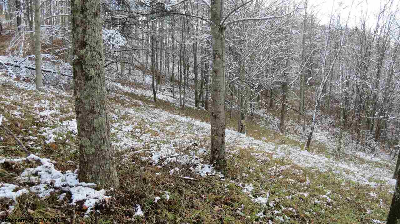 19-7 Paxton Ridge Walton, WV 25286 - Photo 14 of 16 Gallery Image 14
