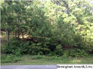 1 County Road 43 Clanton, AL 35046 - Photo 2 of 3