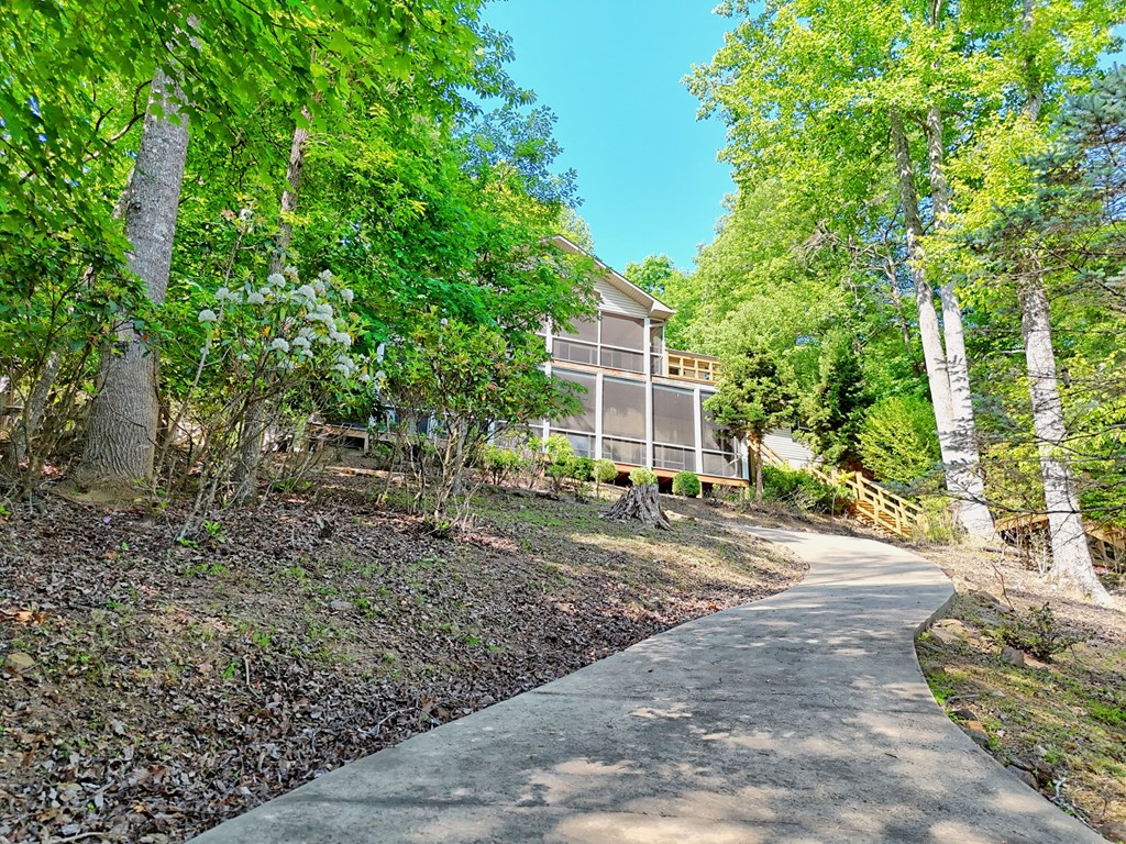 456 Deaver Cove Road Blairsville, GA 30512 - Photo 77 of 83 a view of a yard with plants and trees