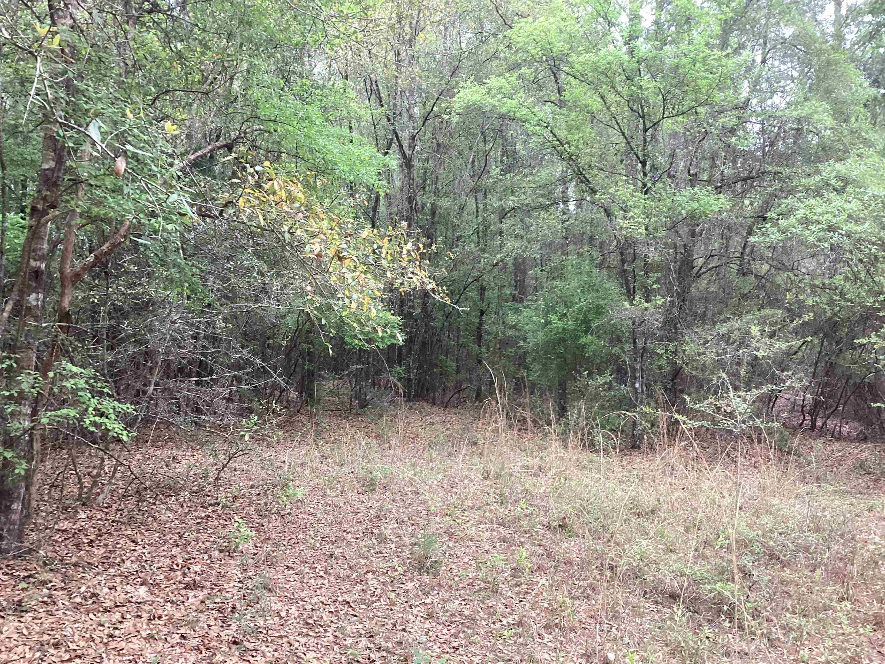 9 Beda Wing, AL 36483 - Photo 3 of 13 Gallery Image 3