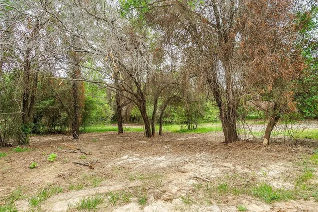 a view of a yard with a tree
