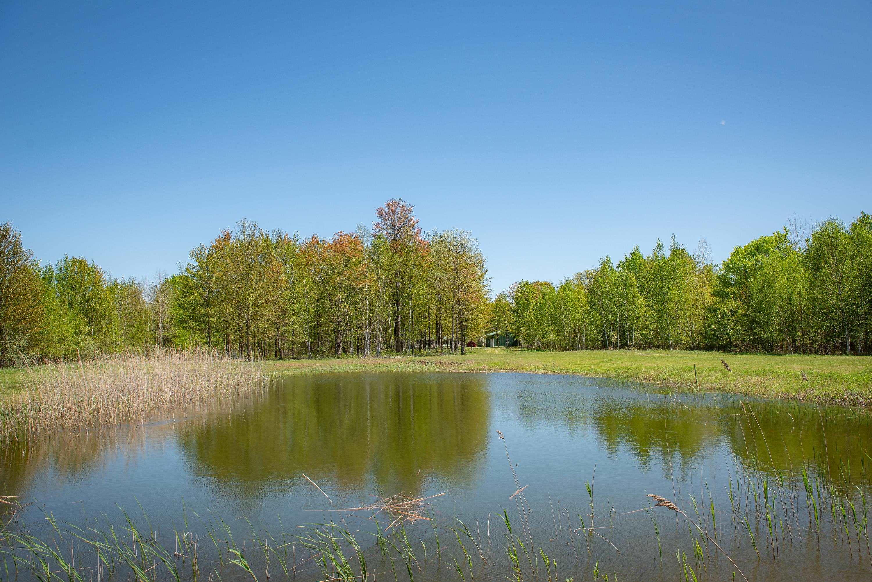 2250 North Coleman Road Coleman, MI 48618 - Photo 59 of 66