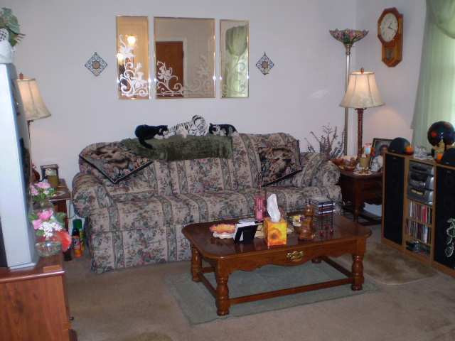 202 Chiswell Road Schenectady, NY 12304 - Photo 3 of 6 Photo 3
