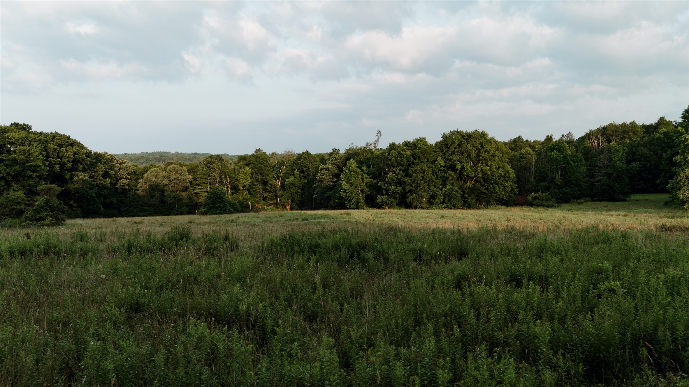 Mccaully Hill Road Tidioute, PA 16351 - Photo 23 of 26 Gallery Image 23