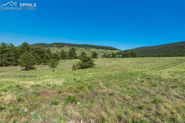 376 Ranger Station Road Florissant, CO 80816 - Photo 13 of 17