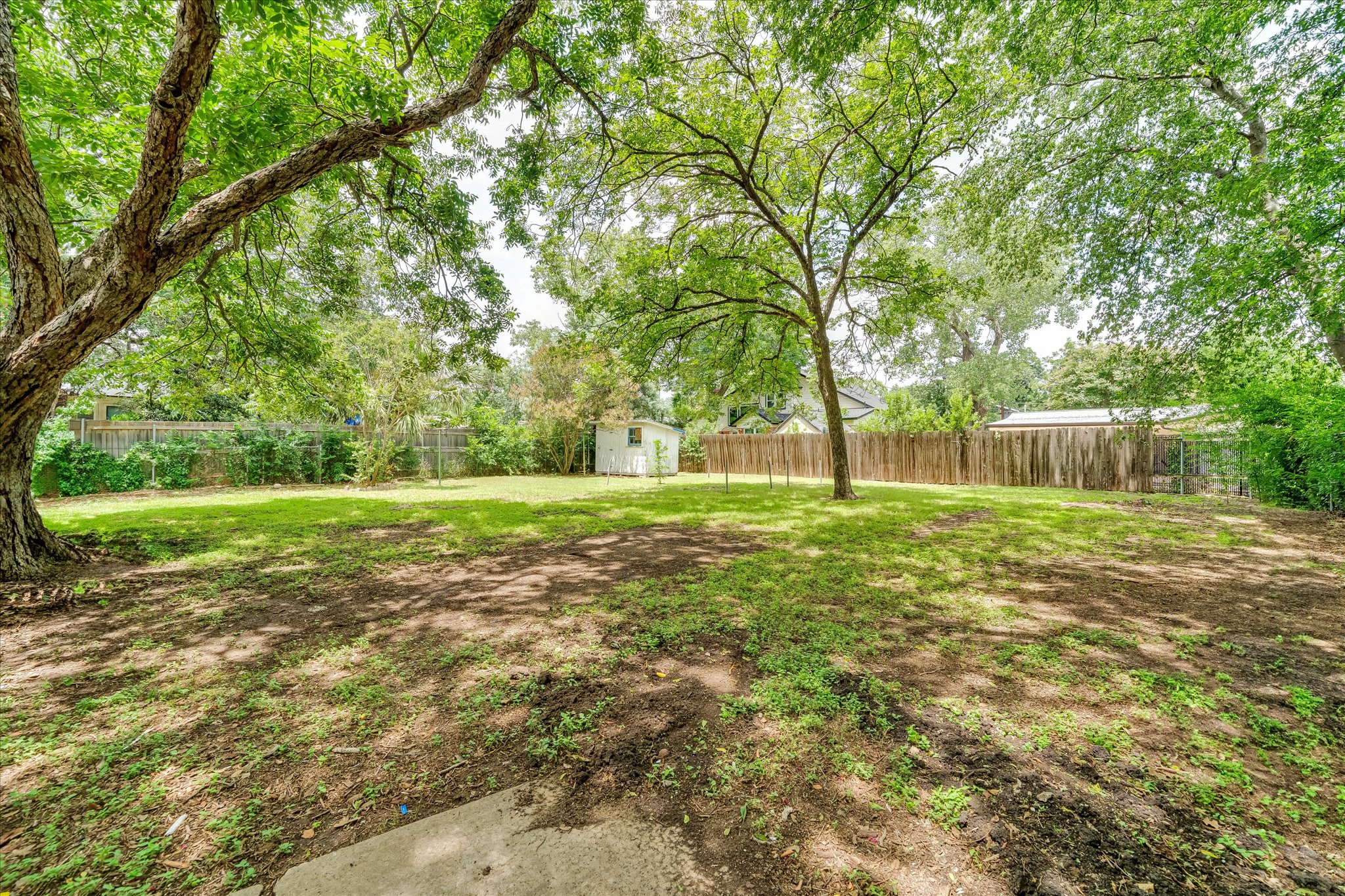 1206 Ruth Avenue Austin, TX 78757 - Photo 4 of 37 a view of garden with trees