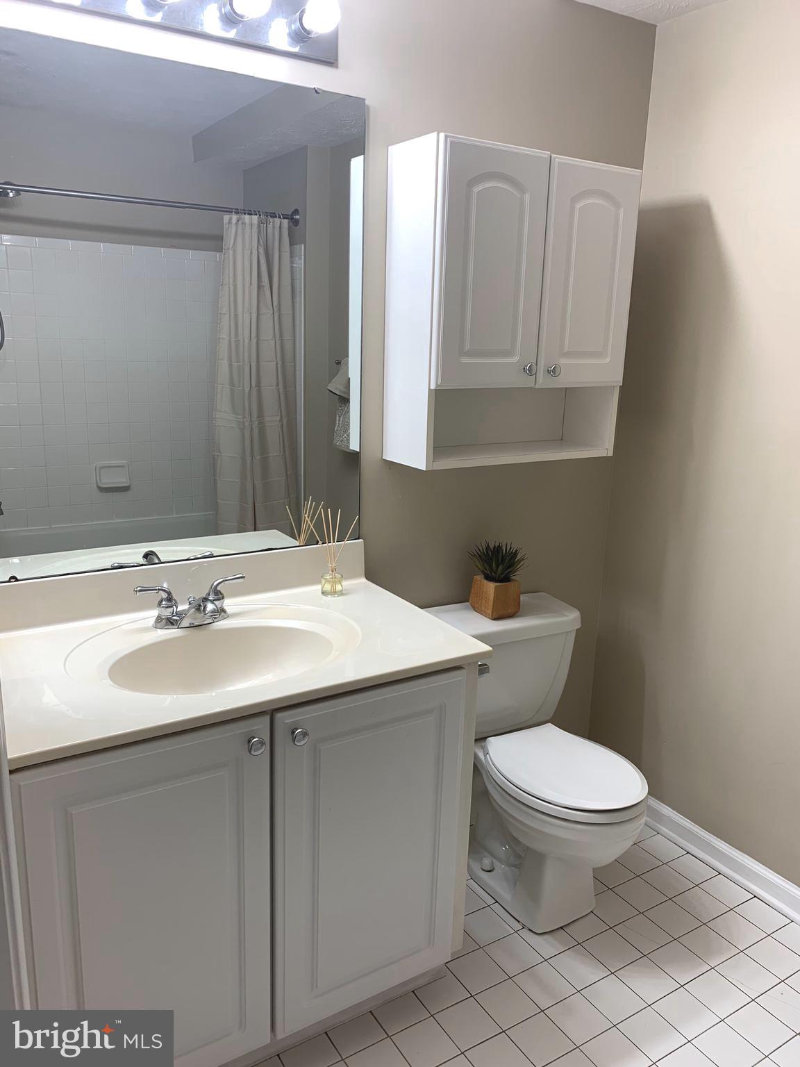 7907 Valley Manor Road, Unit 103 Owings Mills, MD 21117 - Photo 25 of 32 Master Bathroom