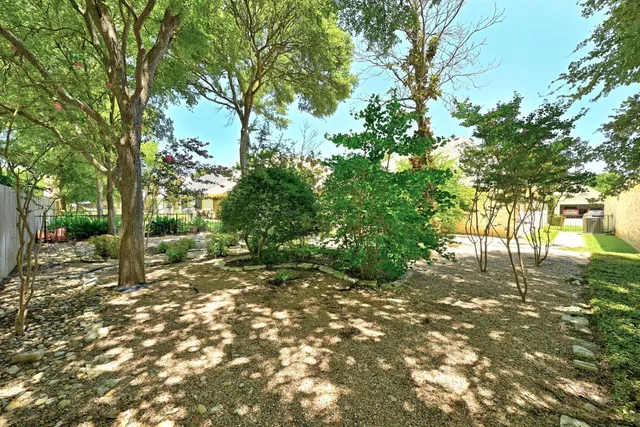 a view of a yard with plants and trees