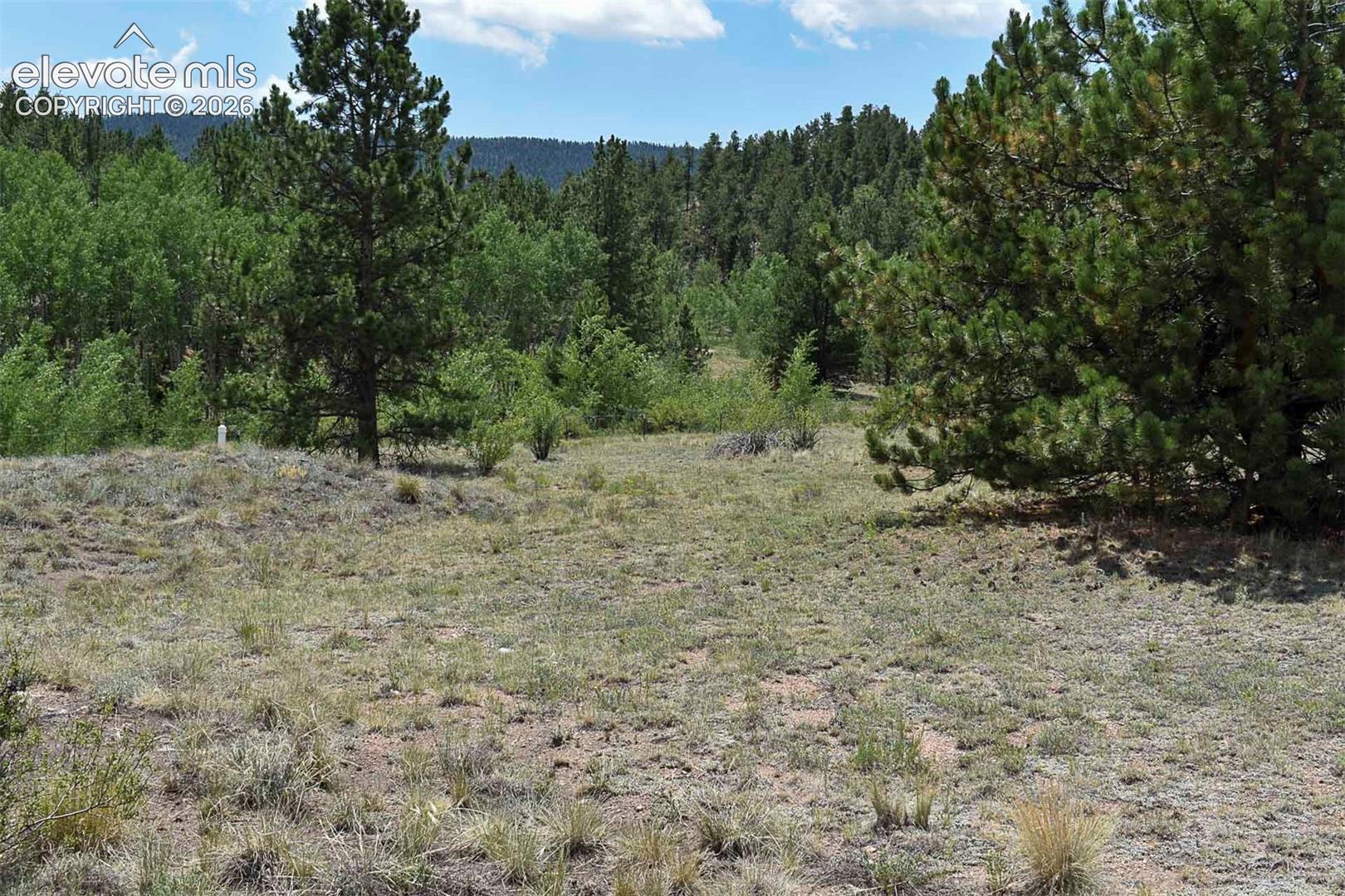 376 Copeland Road Guffey, CO 80820 - Photo 38 of 47