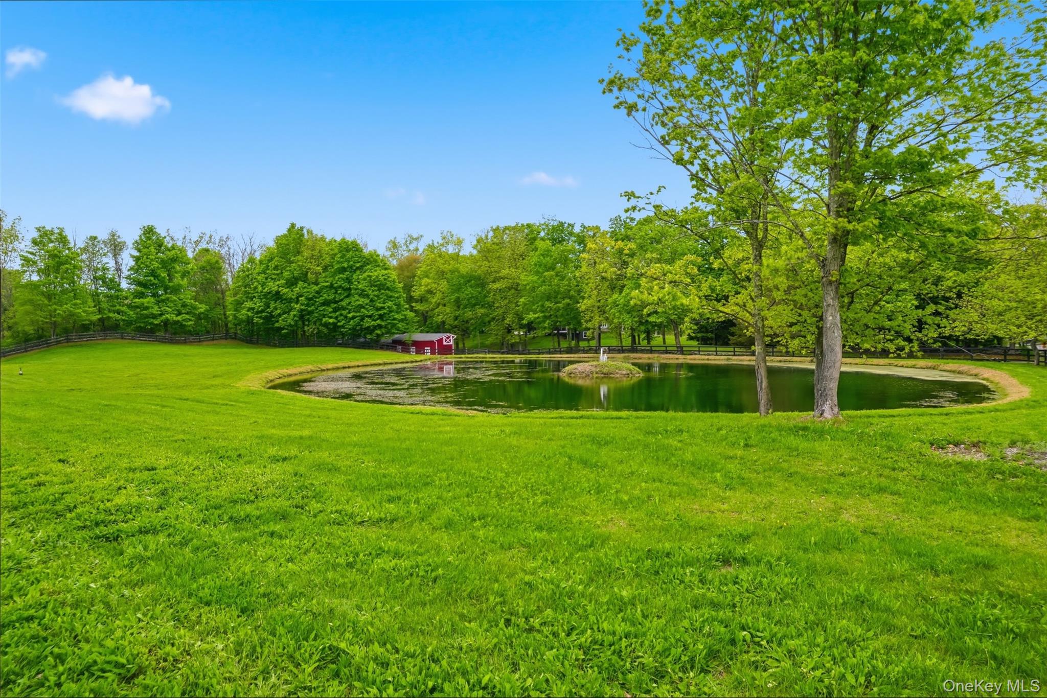 308 Hollow Road Staatsburg, NY 12580 - Photo 49 of 50