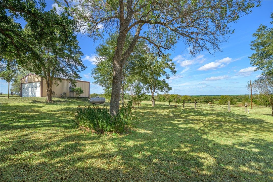 6700 FM 332 Road Brenham, TX 77833 - Photo 28 of 36 a view of a trees in a yard