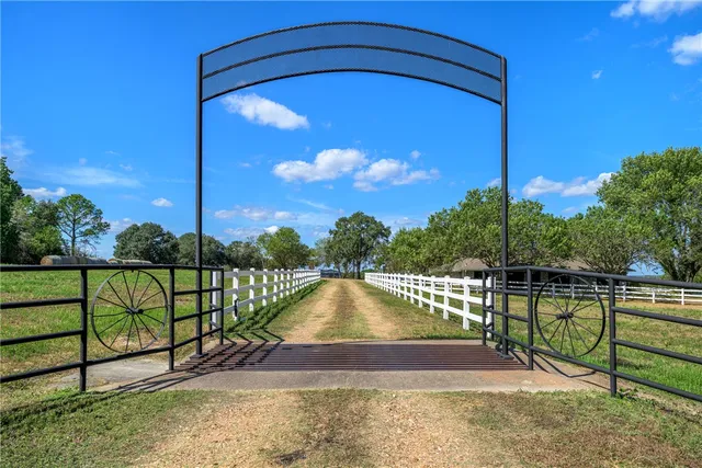 a view of swimming pool with a back yard